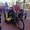 Photo of WheelThePeople ..
