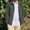 Photo of Korey E.
