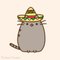 Gerardo G.