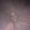 Photo of Jillian C.