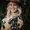 Photo of Trista S.