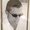 Photo of Tony N.