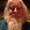Photo of Rick M.