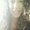 Photo of Lorena V.