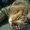 Photo of Sheri G.