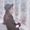 Photo of Lisa F.
