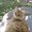 Photo of Cityvox User (annane…)