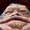 Photo of Jabba T.