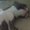 Photo of Danae T.