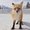 Photo of David Z.