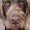 Photo of Qype User (Outdoo…)