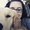 Photo of Janell S.