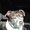 Photo of Qype User (baldwi…)