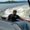Photo of Dave T.