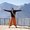 Photo of Idan H.