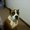 Photo of Angie D.