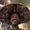 Photo of Shratcha S.