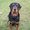 Photo of Qype User (yogilo…)