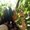 Photo of Diya E.