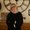 Photo of Anne H.