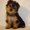 Photo of Qype User (vivi9…)