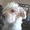 Photo of Peace H.