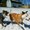 Photo of Candice Michelle S.