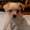 Photo of Pam E.