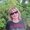Photo of Sarah C.