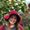 Photo of Leah V.