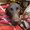 Photo of Tabitha H.