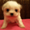 Photo of Becky G.