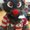 Photo of Maple D.