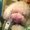 Photo of Jazmin F.