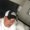 Photo of Flyboy1313 ..