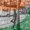 Photo of Abhishek S.