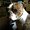 Photo of Shawna L.