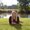Photo of Sara H.