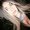 Photo of Bianca J.