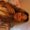Photo of Deyanira S.