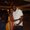 Photo of Darius G.