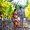 Photo of Neha B.