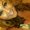 Photo of Leah T.