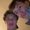 Photo of Lucas 4.