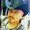 Photo of EL Peregrino V.