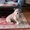 Photo of Gracie V.
