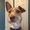 Photo of Lindy K.
