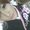 Photo of Haruka I.