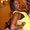 Photo of Erika R.