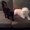 Photo of Caitlin S.